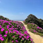 Marine アルブフェイラ