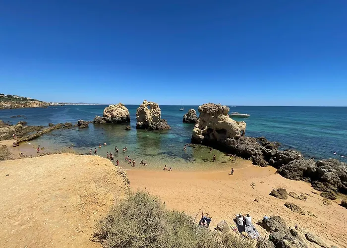 فيلة Marine البوفيرا