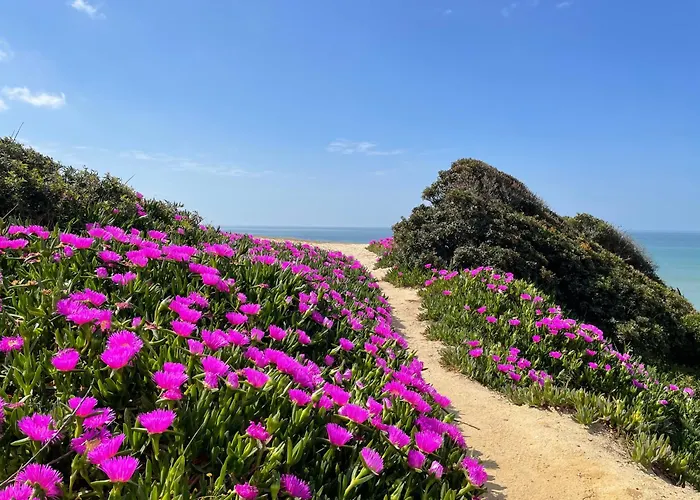 Marine البوفيرا